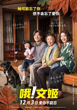 成人午夜精品久久久久久久小说