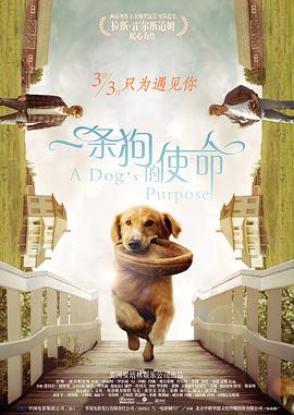 天美传媒mv免费观