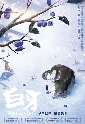 久久国产成人精品