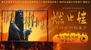 b650m迫击炮wifi